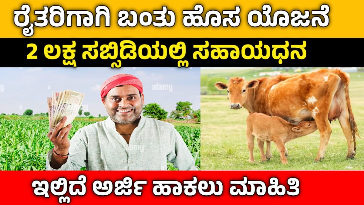 Karnataka announced 2 lakh subsidy for free animal sheds